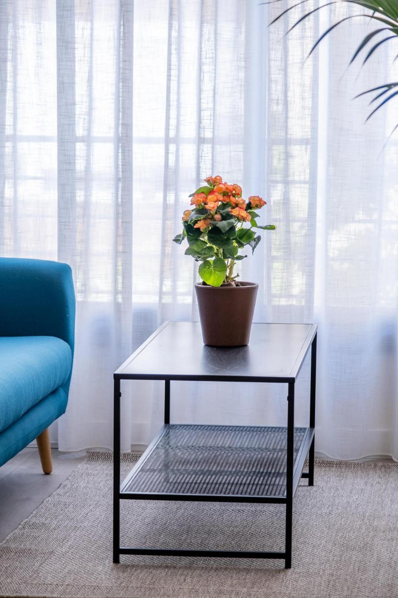 Juan De Austria Apartment Malaga Room photo